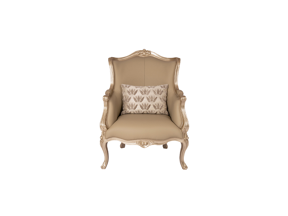 RF12C1 Leisure chair