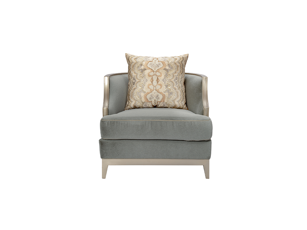 RF02C1B Leisure chair